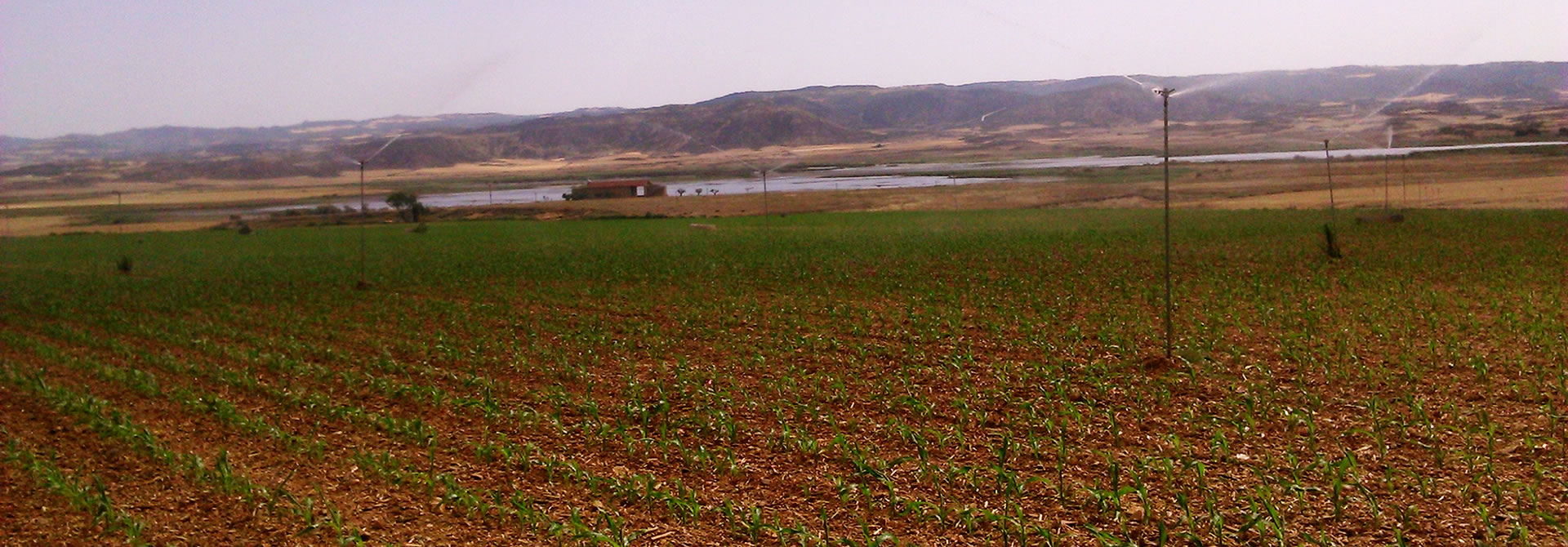 Agrovanguardia, protección de cultivos